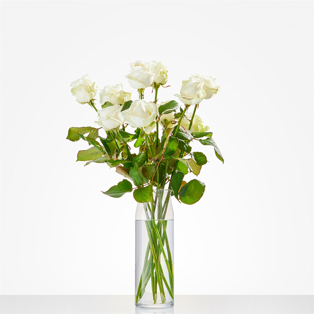 Witte rozen per stuk