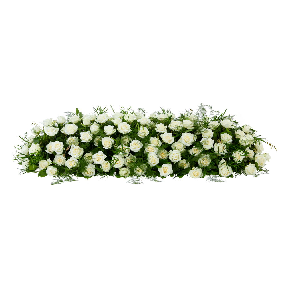 Pure roses