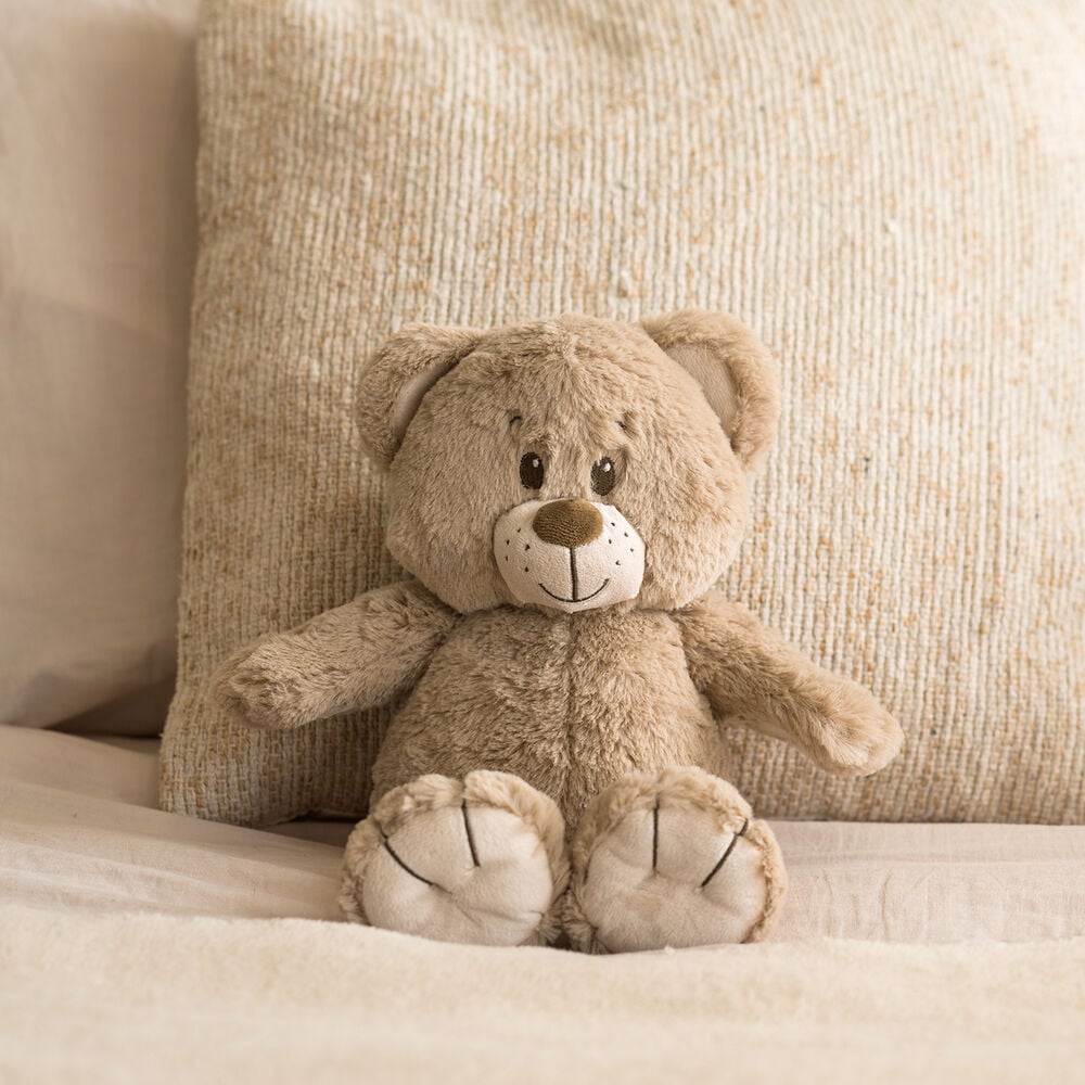 Gentle gesture bouquet (gift set with cuddly toy, chocolate and vase!)